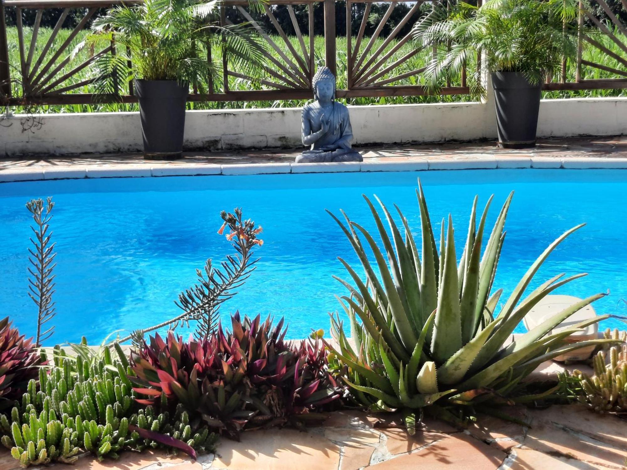 Joli Appartement, Piscine, Jacuzzi Sainte-Suzanne Bagian luar foto